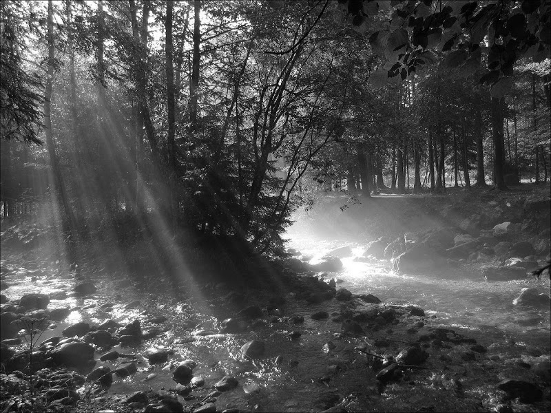 photo "Morning" tags: landscape, nature, black&white, 