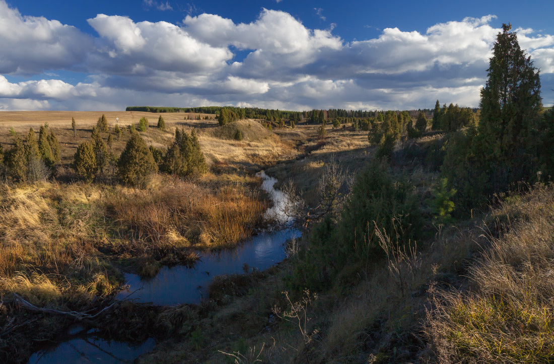 фото "Вдоль осенней речки" метки: пейзаж, 