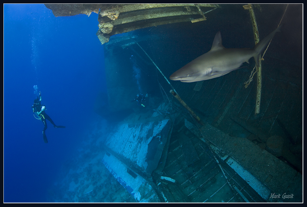 photo "Hostess" tags: underwater, 