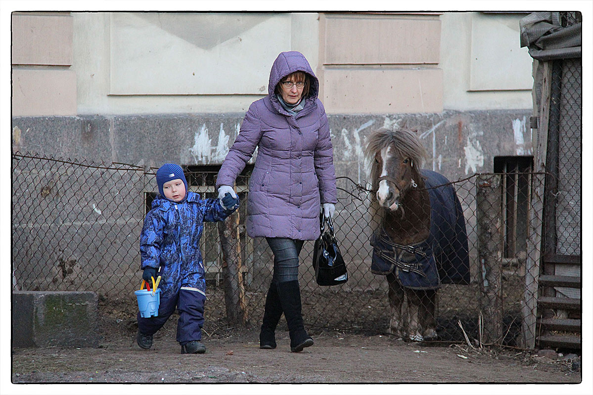 фото "Мама , кто это? Кто, кто...конь в пальто" метки: , 