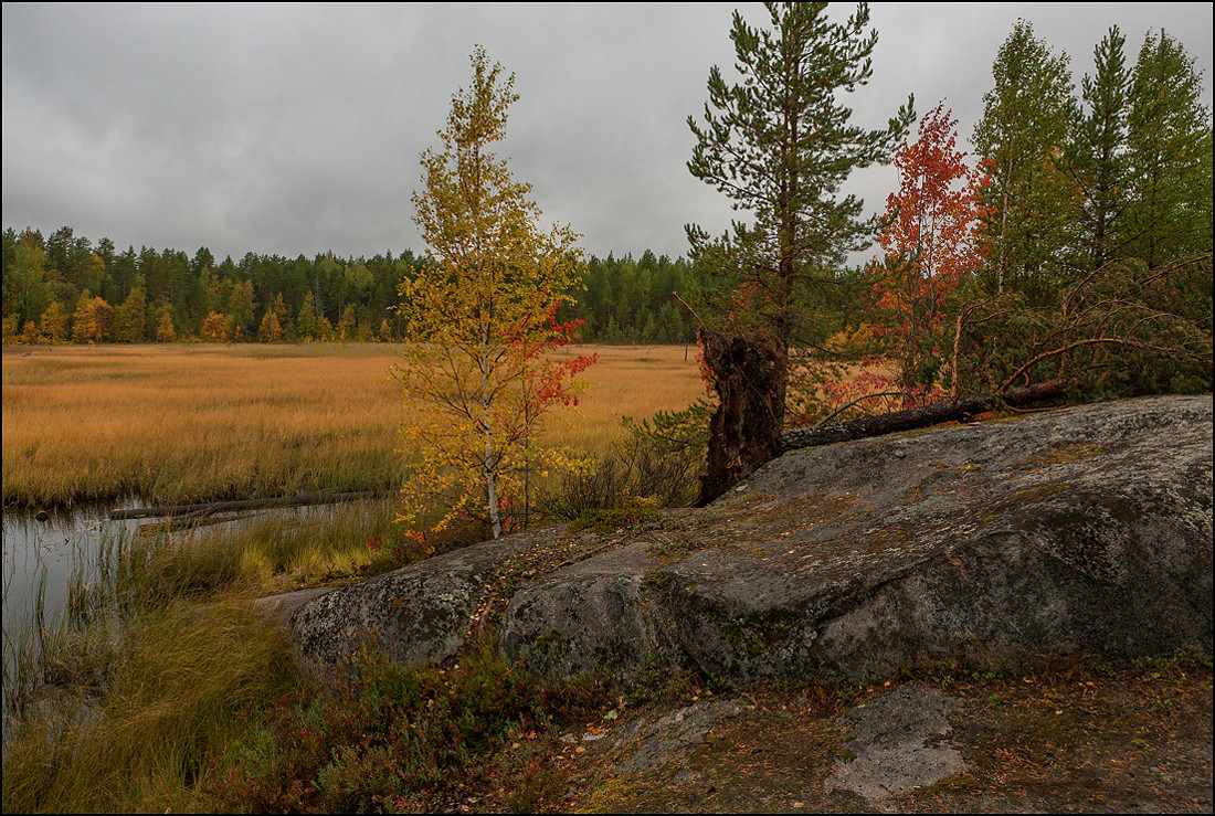 photo "Autumn swamp" tags: landscape, travel, Karelia