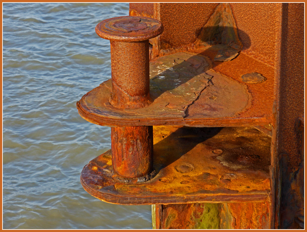 фото "Noble Rust" метки: макро и крупный план, натюрморт, репортаж, 
