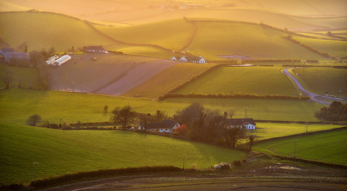 photo "Irish Sheepland" tags: landscape, 