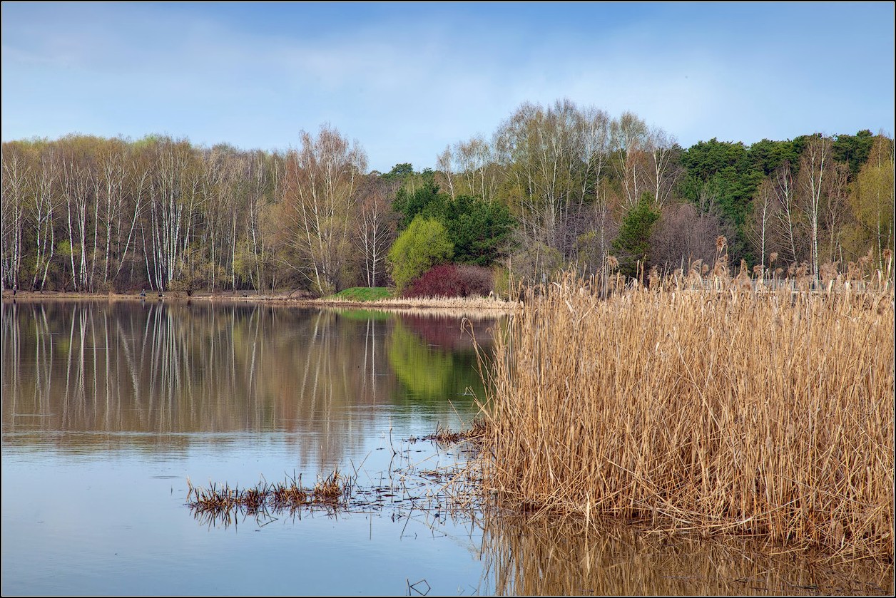 photo "Spring" tags: landscape, nature, 