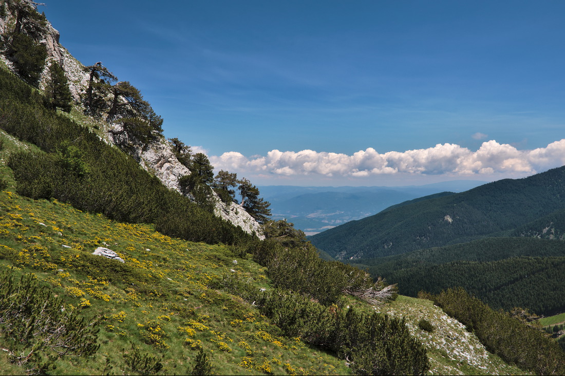 photo "***" tags: landscape, 