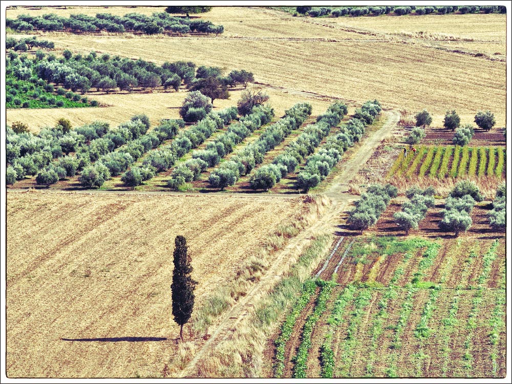 photo "Messara Plain. Crete." tags: landscape, travel, Crete, Messara Plain