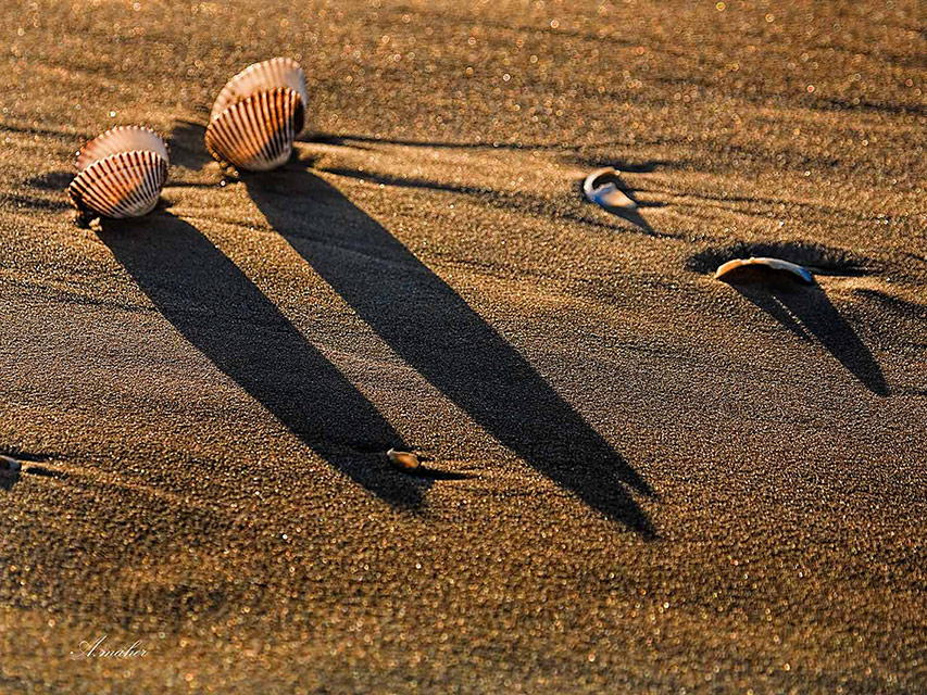 фото "SHADWS" метки: пейзаж, Landscape