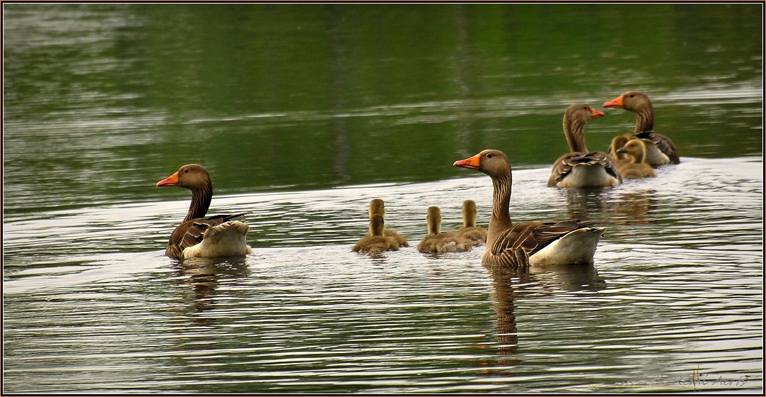 фото "***" метки: пейзаж, природа, 