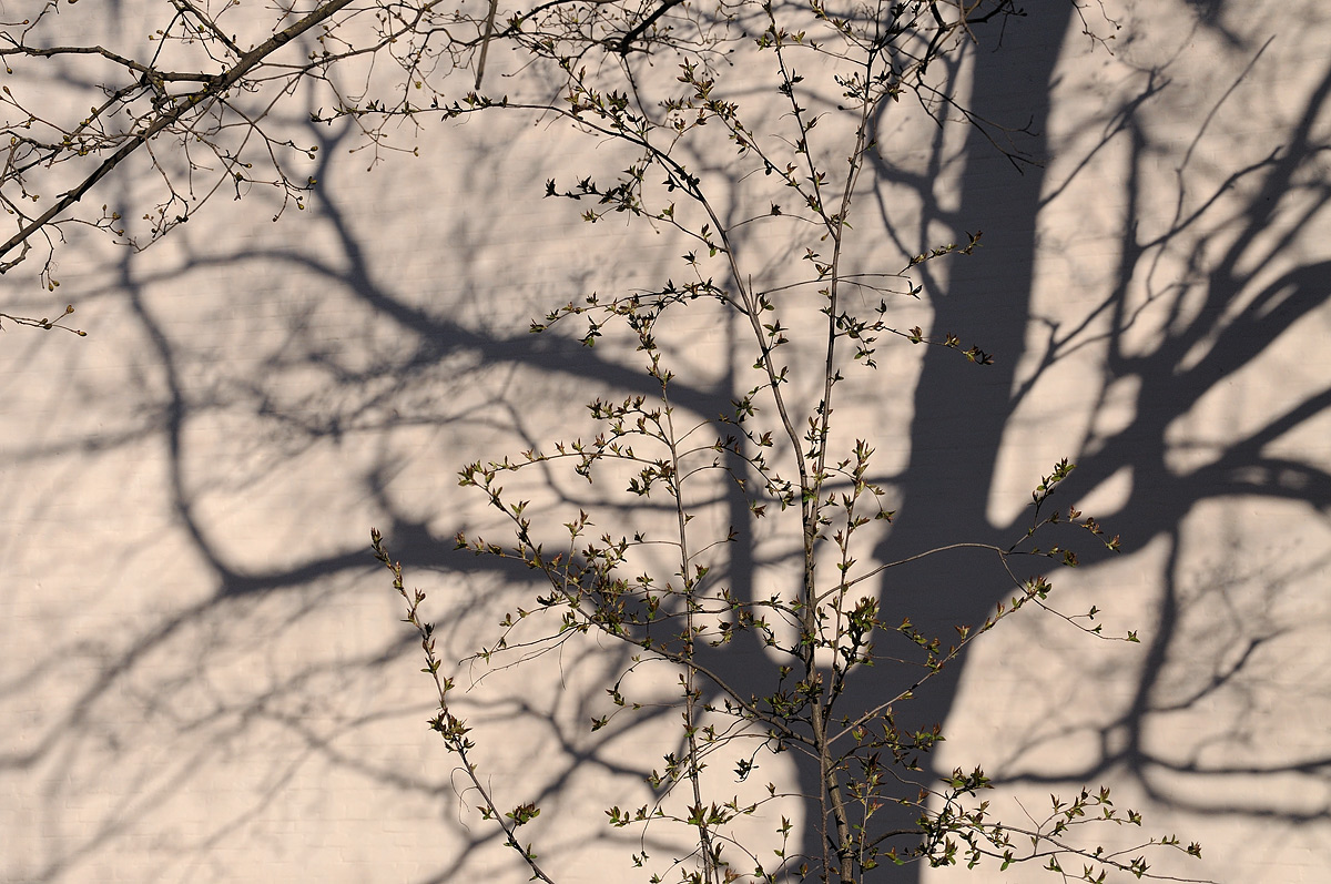 photo "***" tags: misc., 