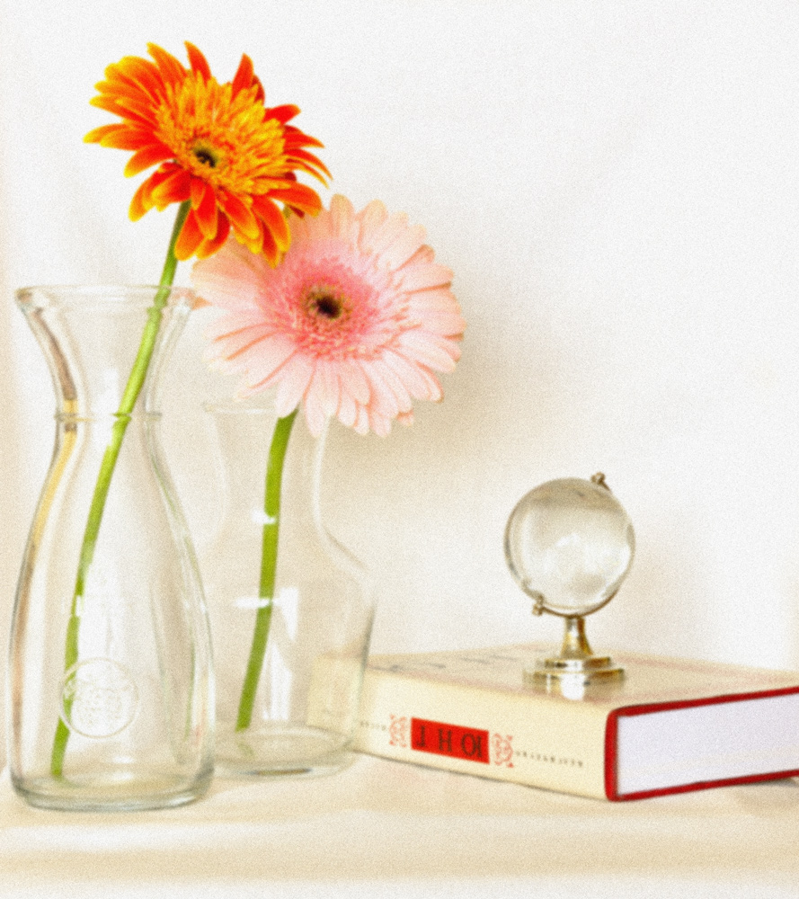 photo "***" tags: still life, flowers