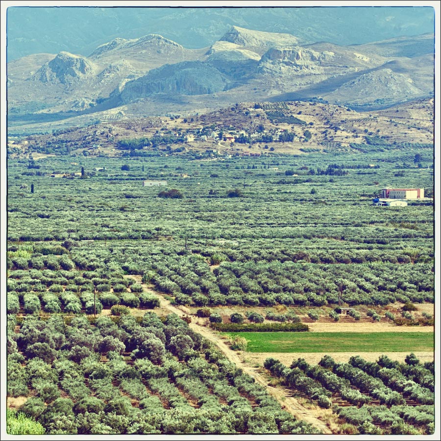 фото "Messara Plain. Crete." метки: пейзаж, путешествия, Crete, Messara Plain