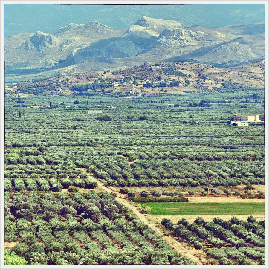 photo "Messara Plain. Crete." tags: landscape, travel, Crete, Messara Plain