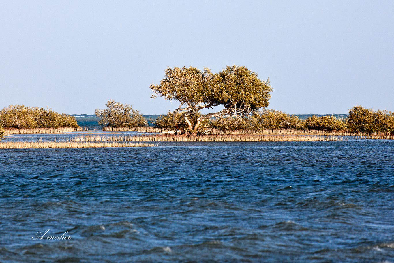 фото "MANGAROUF ISLAND" метки: пейзаж, Landscape