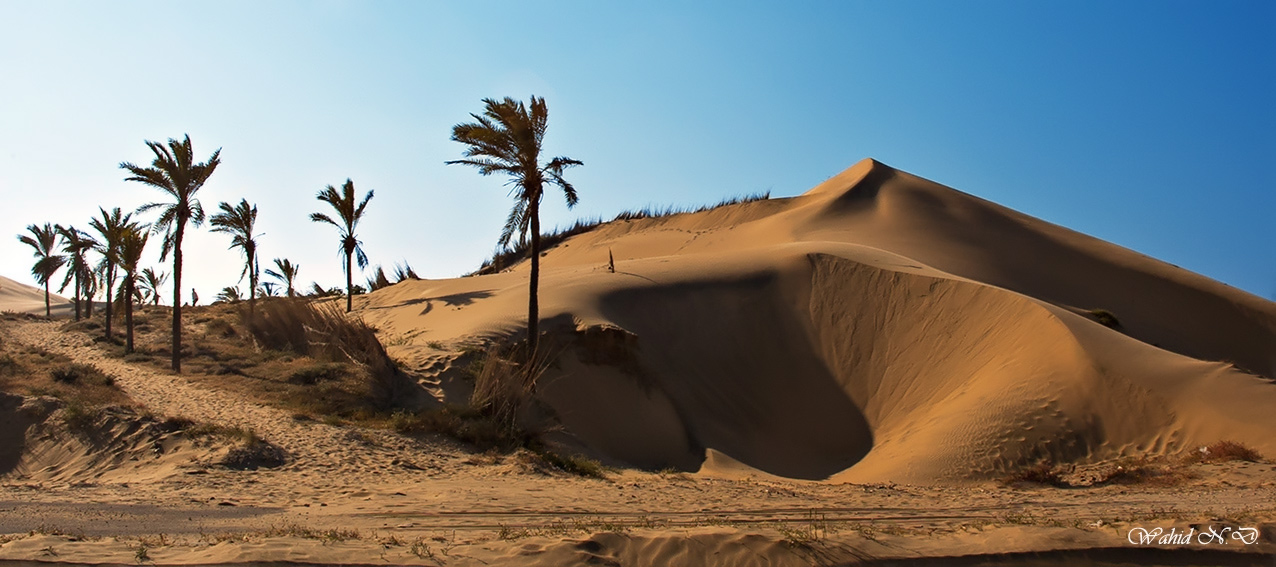 фото "Sand Dune by the see shore" метки: пейзаж, путешествия, природа, Sand, Африка