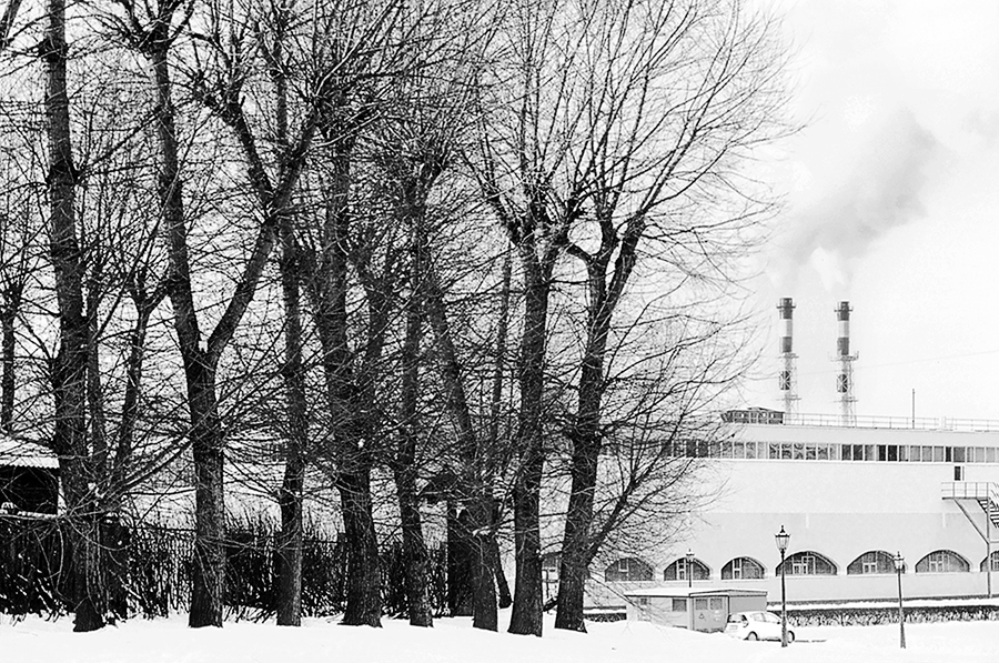 photo "P.S." tags: landscape, city, black&white, Moscow, Russia, winter, Коломенское, деревья, трубы