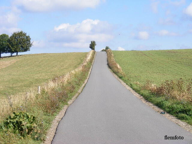 photo "Landscape" tags: , 
