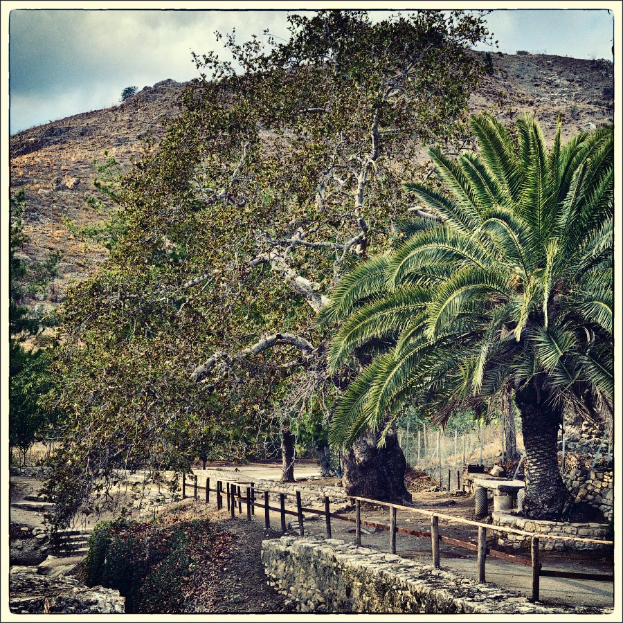 фото "The antique Gortyna. Crete." метки: путешествия, Crete, Gortyna