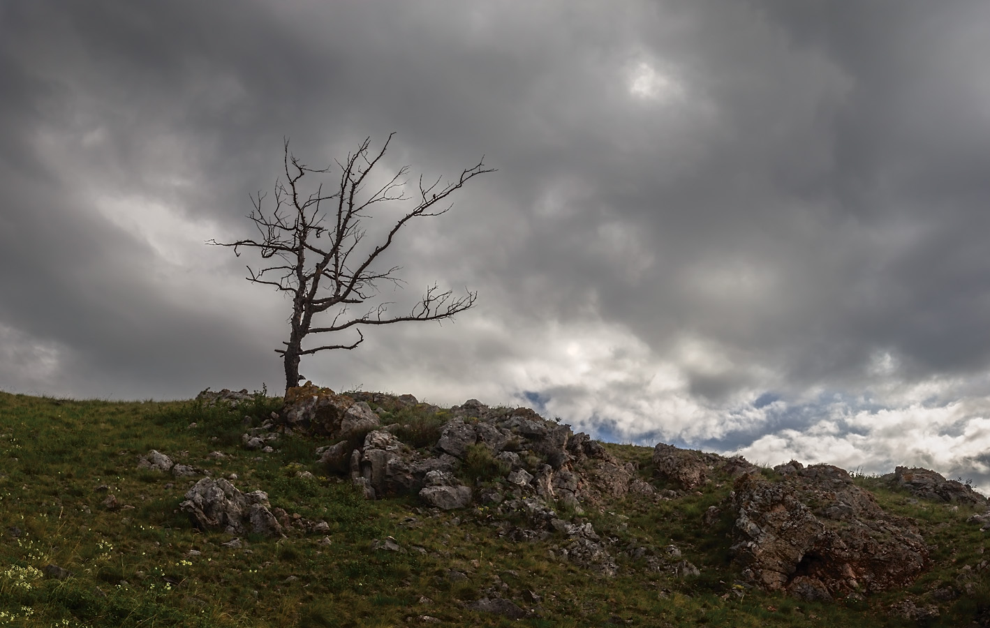 photo "***" tags: landscape, 