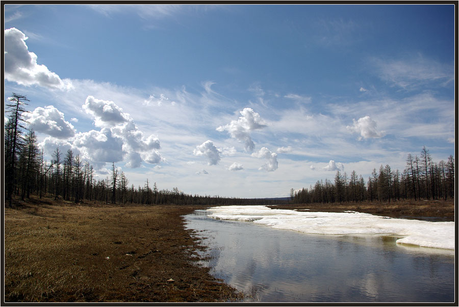 фото "Весенне-северный пейзаж" метки: пейзаж, Якутия, весна, река, тайга
