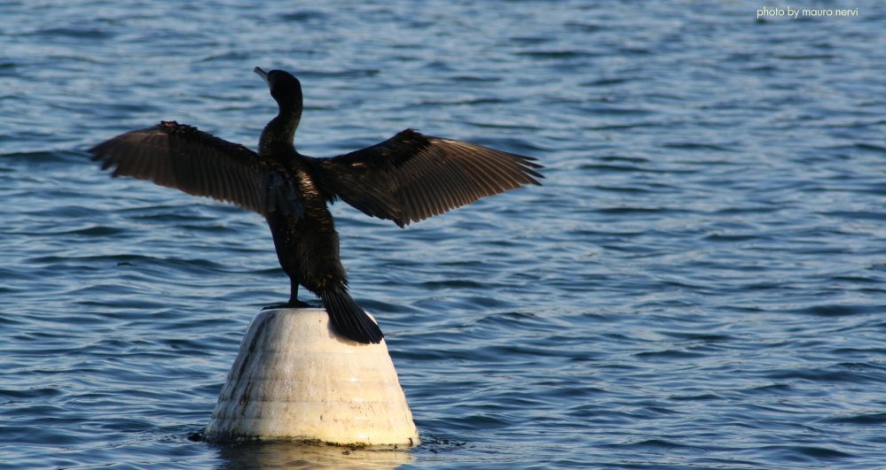 photo "in the port" tags: nature, 