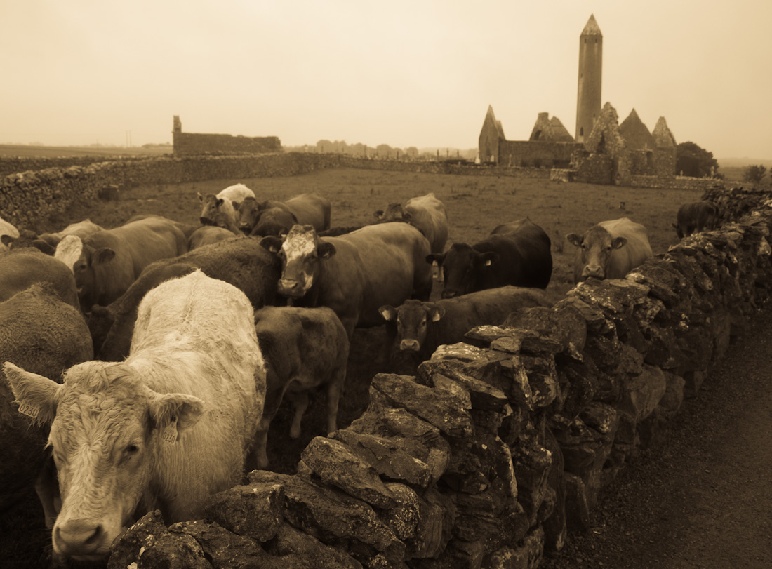 photo "Irish Life" tags: , 