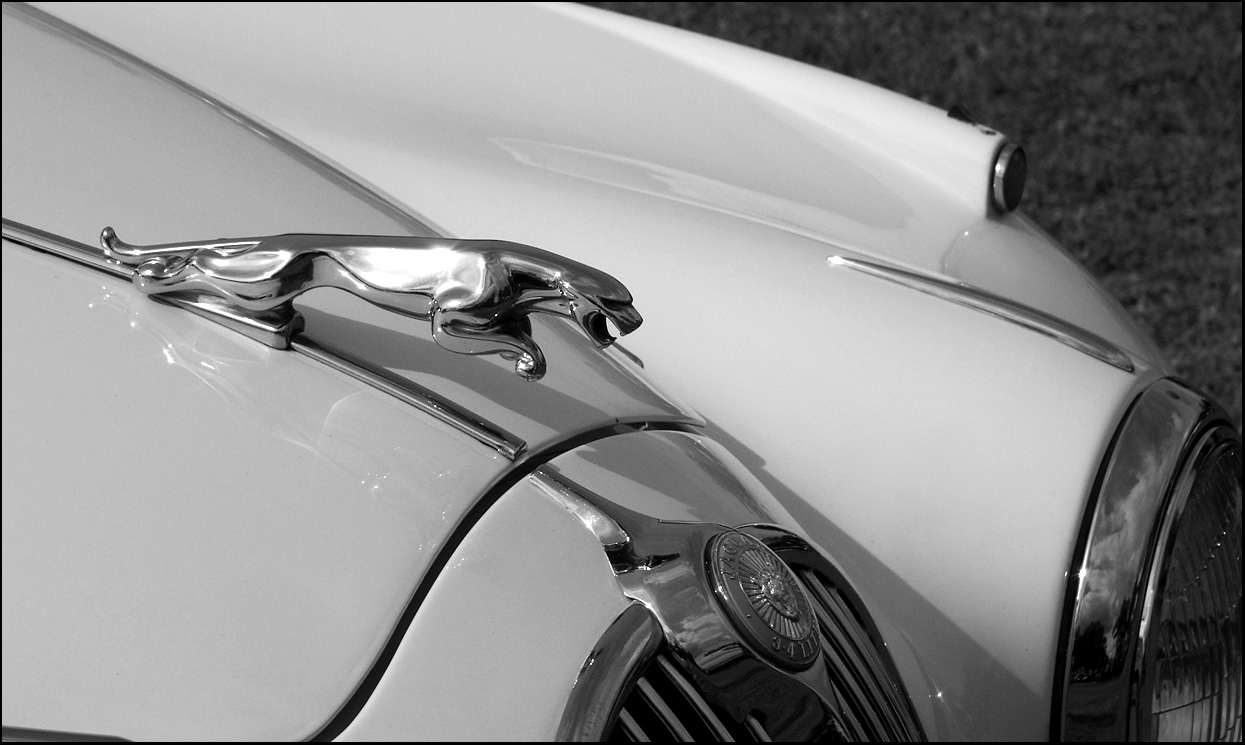 photo "Jaguar ..." tags: macro and close-up, black&white, technics, 