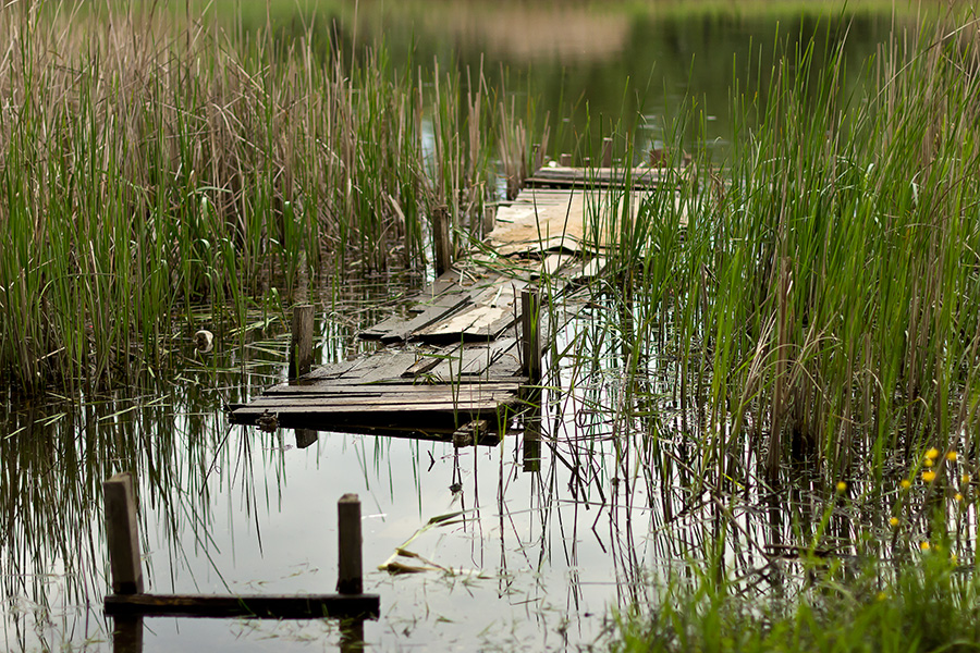 photo "***" tags: landscape, fragment, Dnieper, Ukraine, gulf, Запорожье, рыбалка