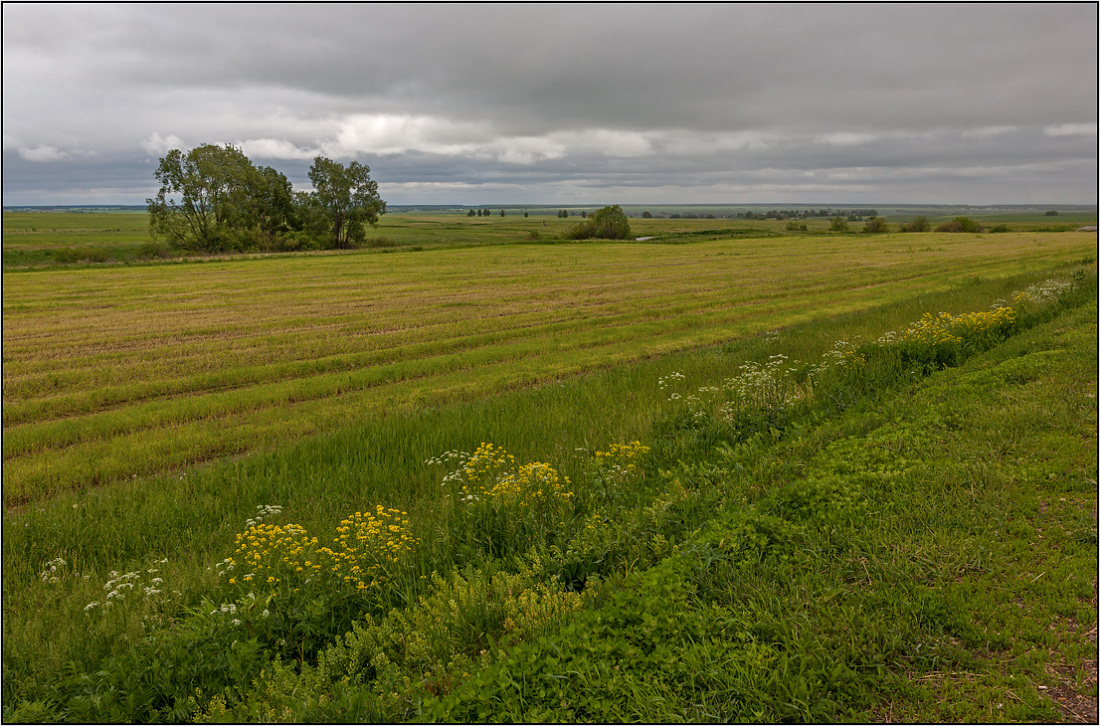 photo "Six months of bad weather. . ." tags: landscape, nature, 