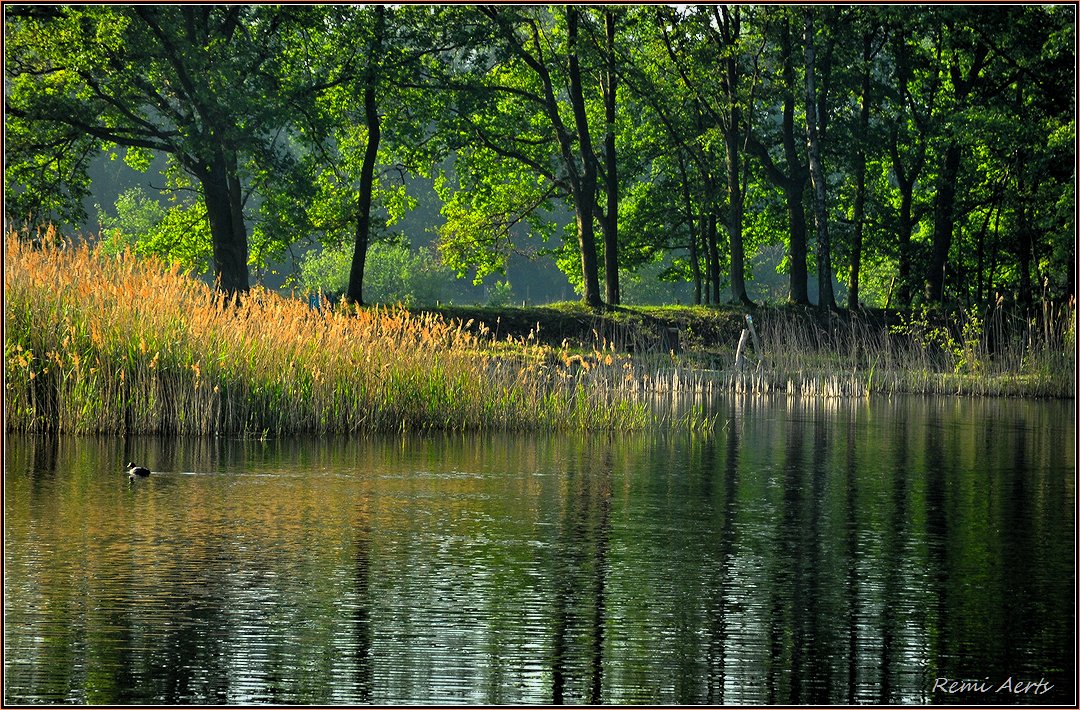 фото "***" метки: пейзаж, природа, 