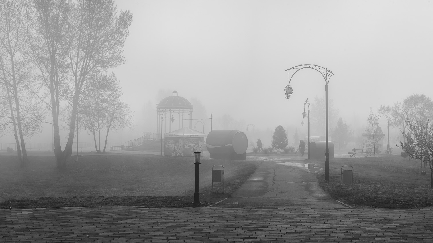 фото "Утро в парке." метки: пейзаж, черно-белые, стрит-фото, 