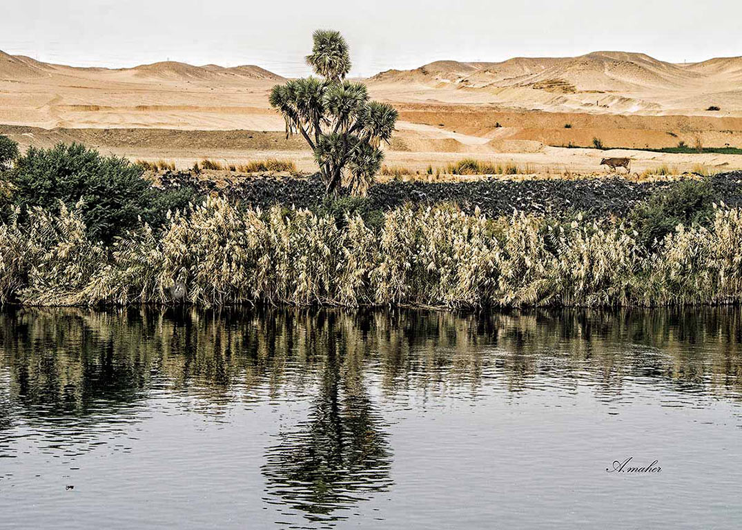фото "Shadows  on the nile" метки: пейзаж, Landscape