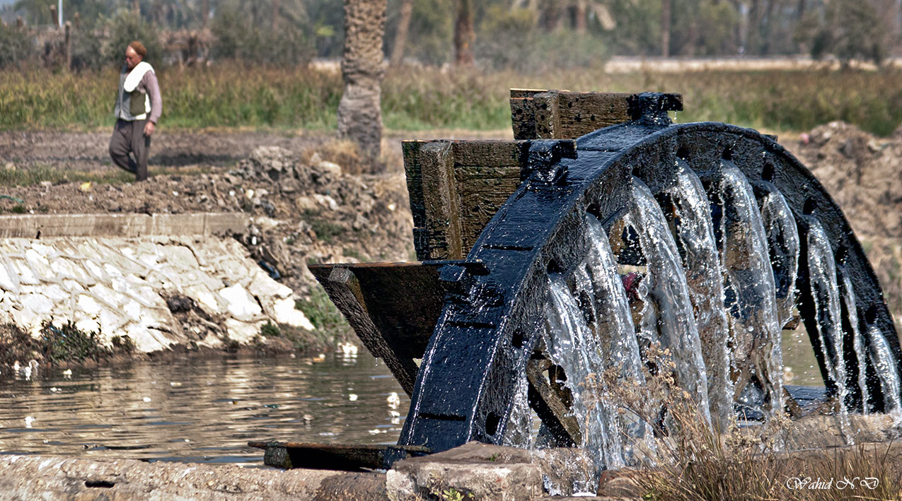 фото "Water wheel and the Farmer" метки: пейзаж, портрет, разное, Country-side., Африка