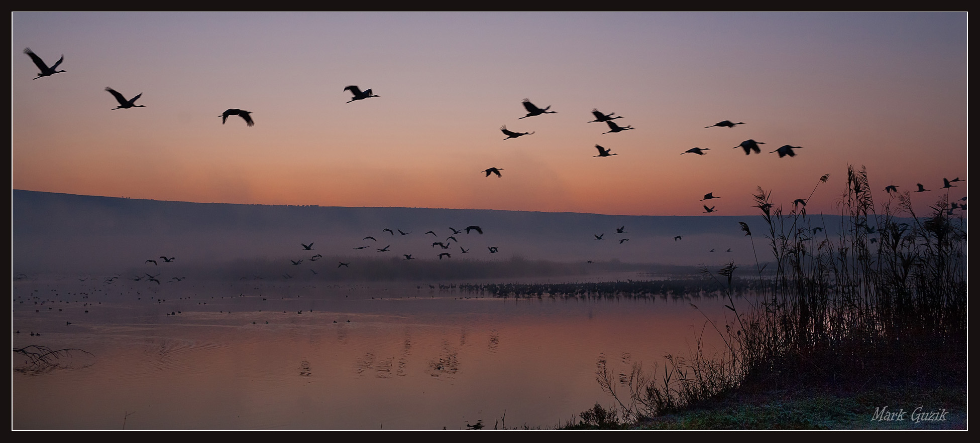 photo "At dawn" tags: nature, 