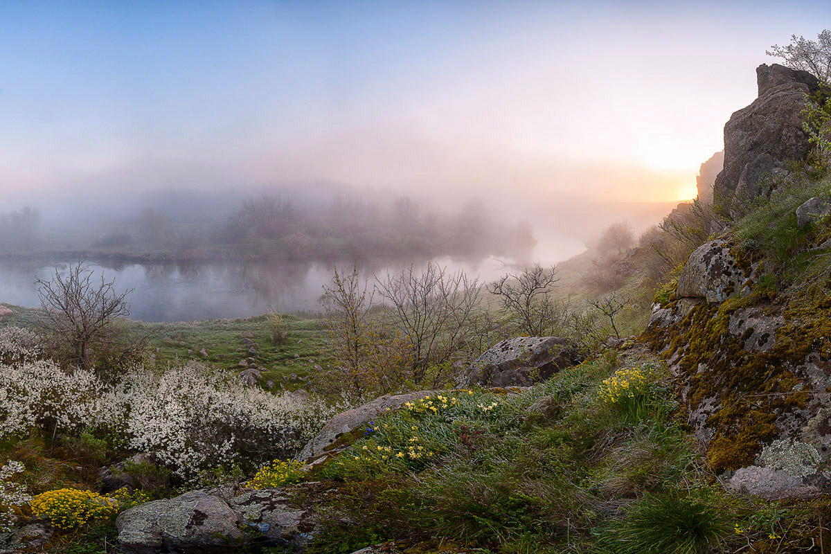 фото "Апрельское утро. Кальмиус" метки: пейзаж, панорама, природа, весна, вода, туман, цветы