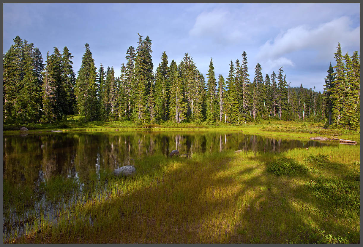 photo "Evening shadows" tags: landscape, forest, water