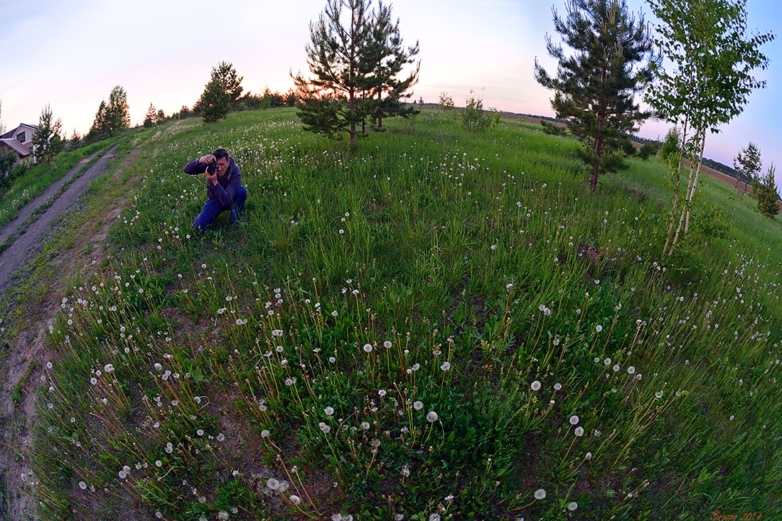photo "On the Planet dandelions" tags: landscape, genre, 