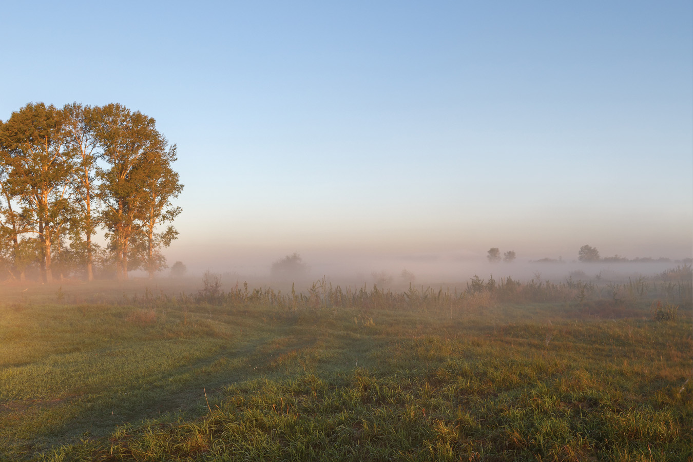 photo "***" tags: landscape, 