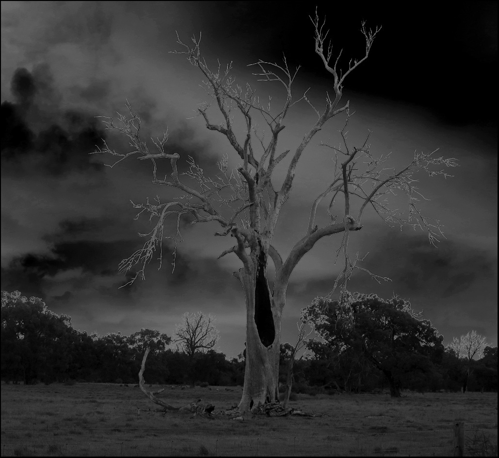 photo "Spoocky ..." tags: black&white, 