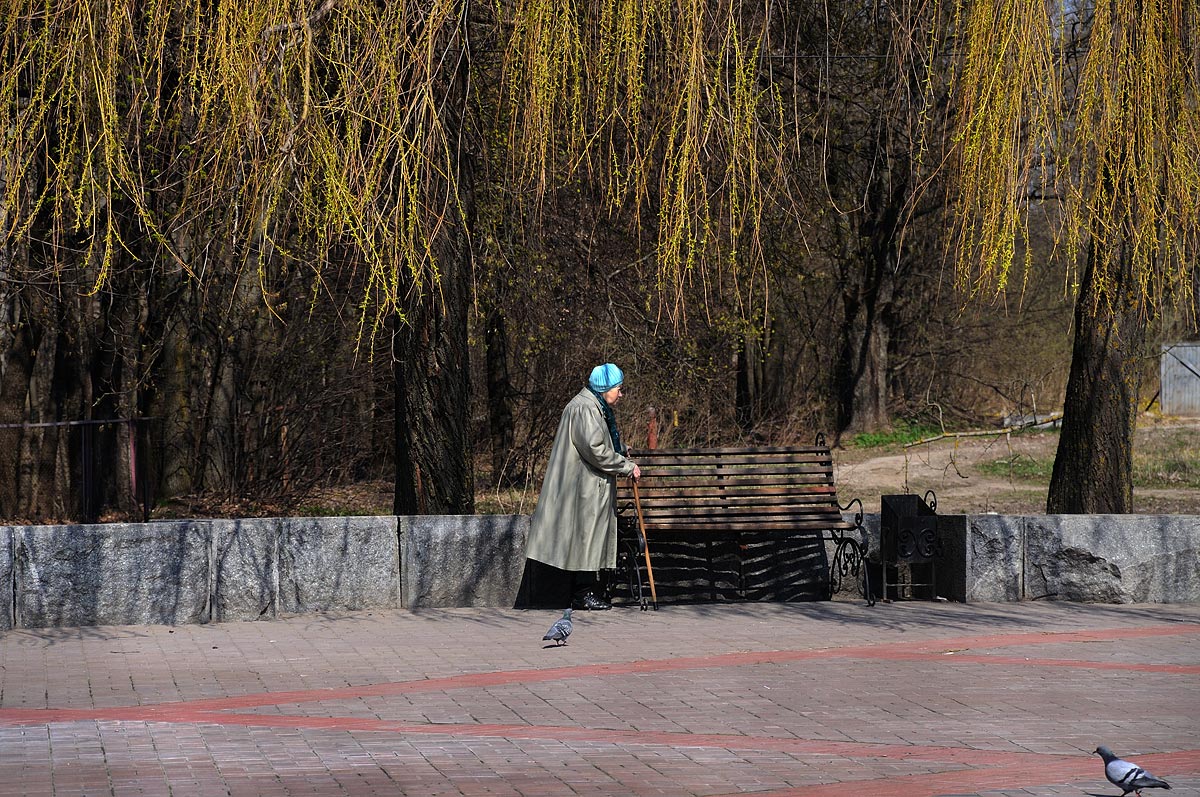 photo "***" tags: genre, 