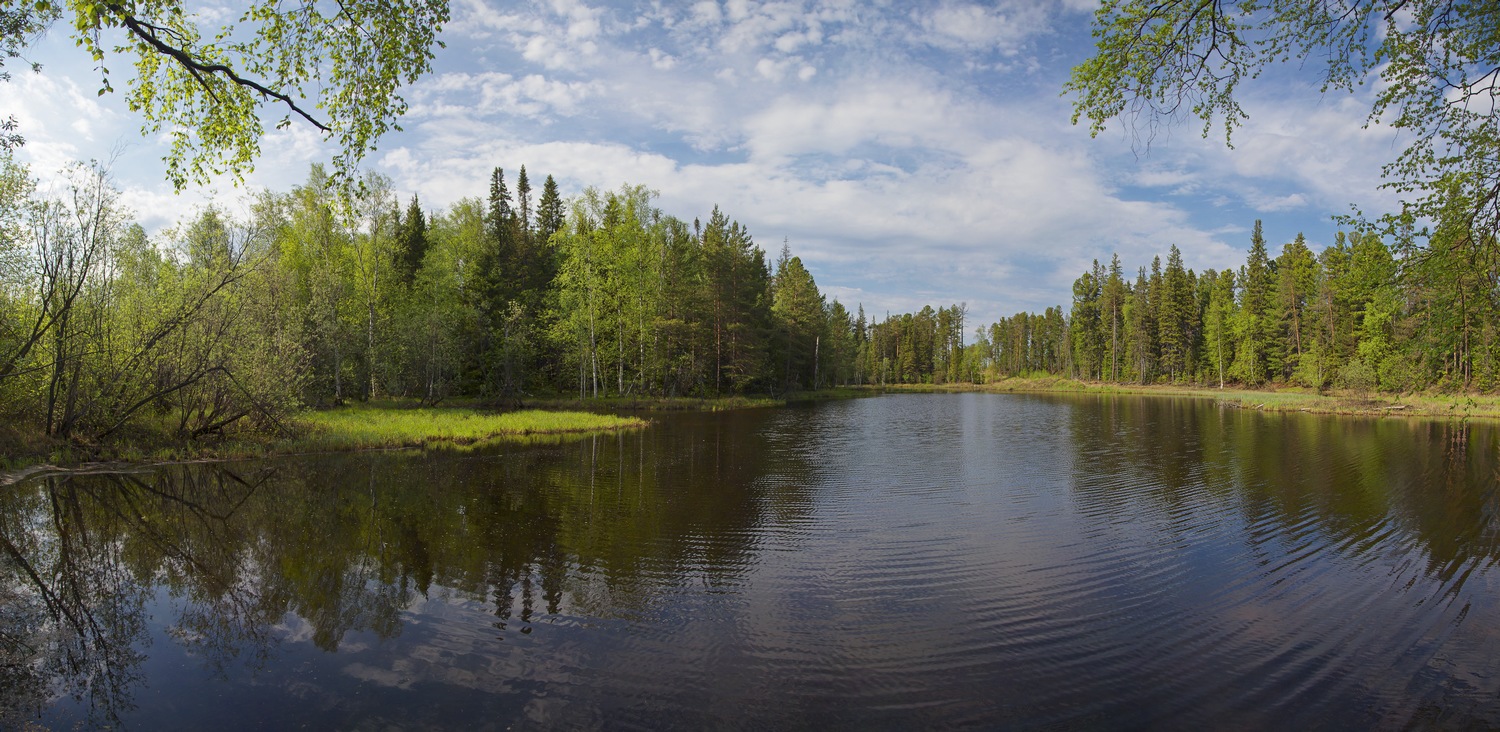 photo "***" tags: landscape, panoramic, forest, lake, spring