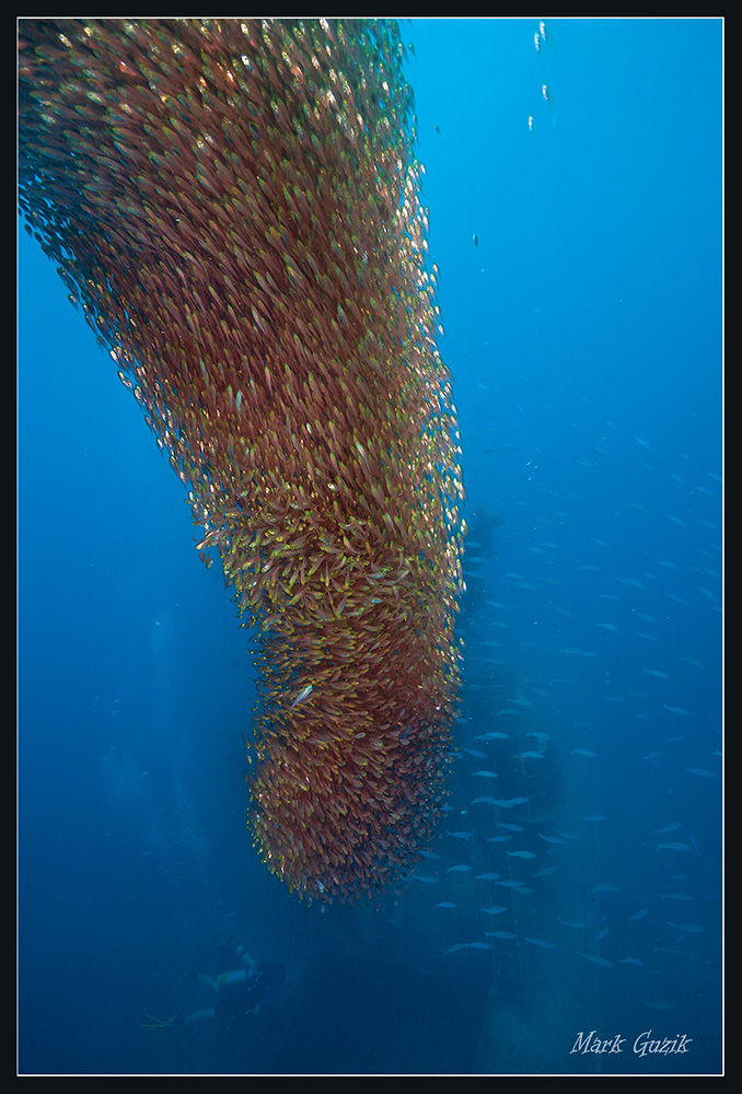 photo "Spirit of wreck" tags: underwater, 