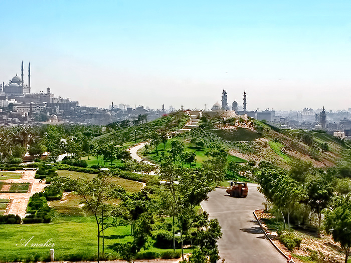 photo "The green park" tags: landscape, Landscape