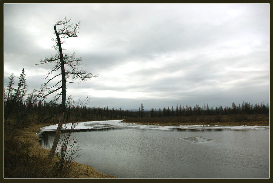 фото "Весенне-северный пейзаж" метки: пейзаж, Сытыкан, Якутия, весна, река