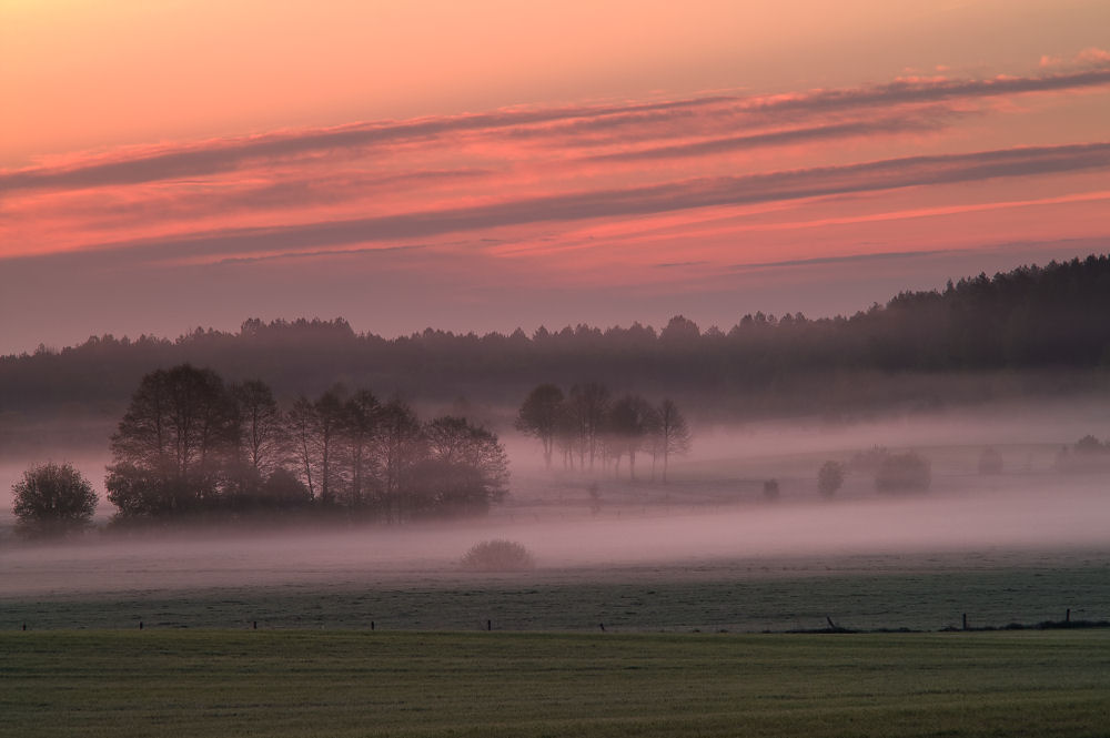 фото "Podlasie" метки: пейзаж, природа, 