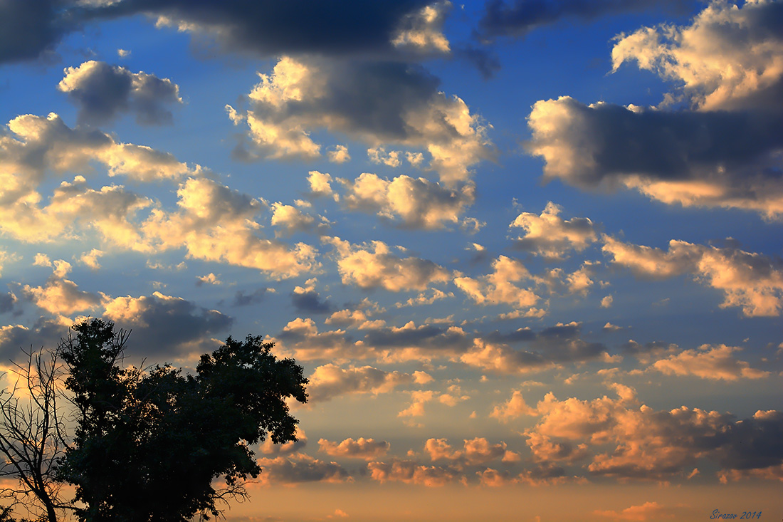 photo "In the evening beams" tags: landscape, nature, 