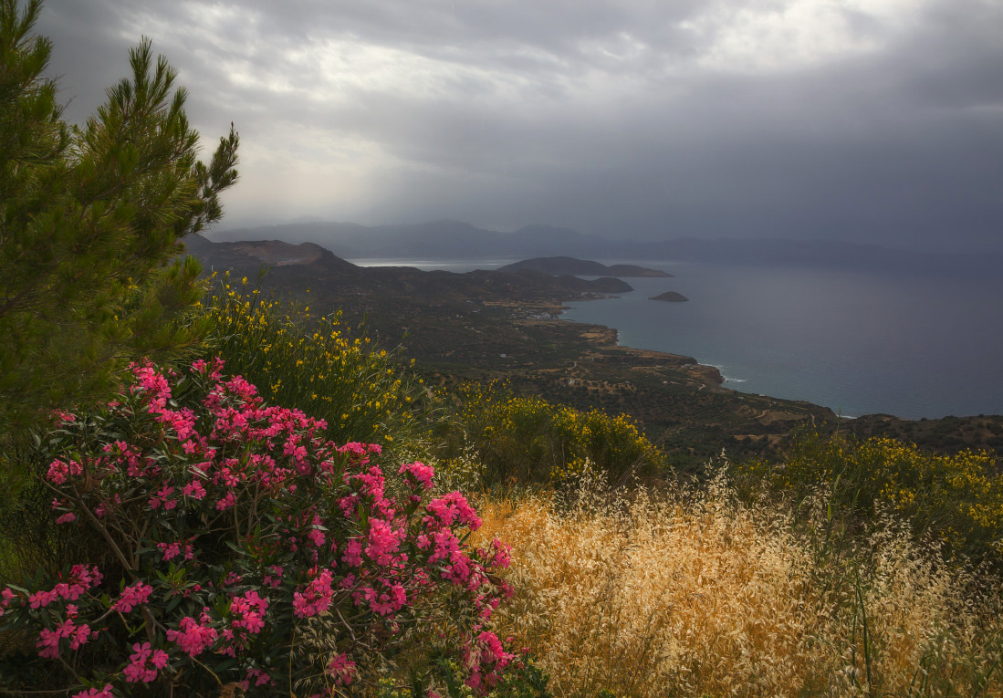 photo "***" tags: landscape, Greece, coast, flowers, sea, Крит, краски, острова, тучи