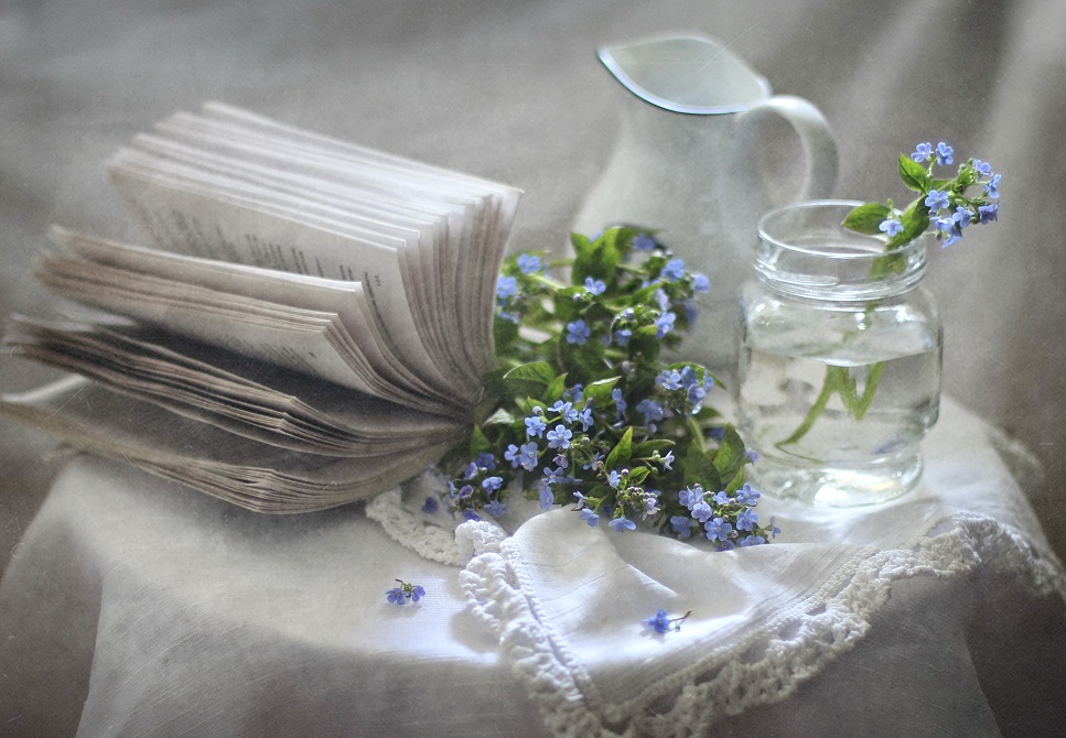 photo "***" tags: still life, 