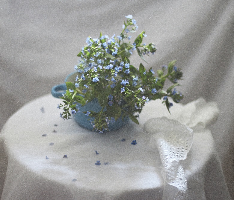 photo "***" tags: still life, 