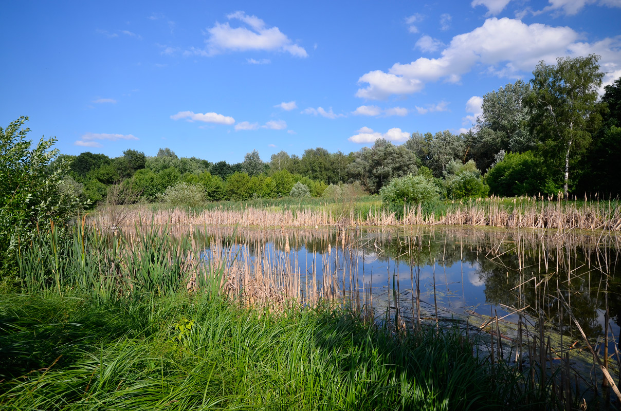 photo "***" tags: landscape, 