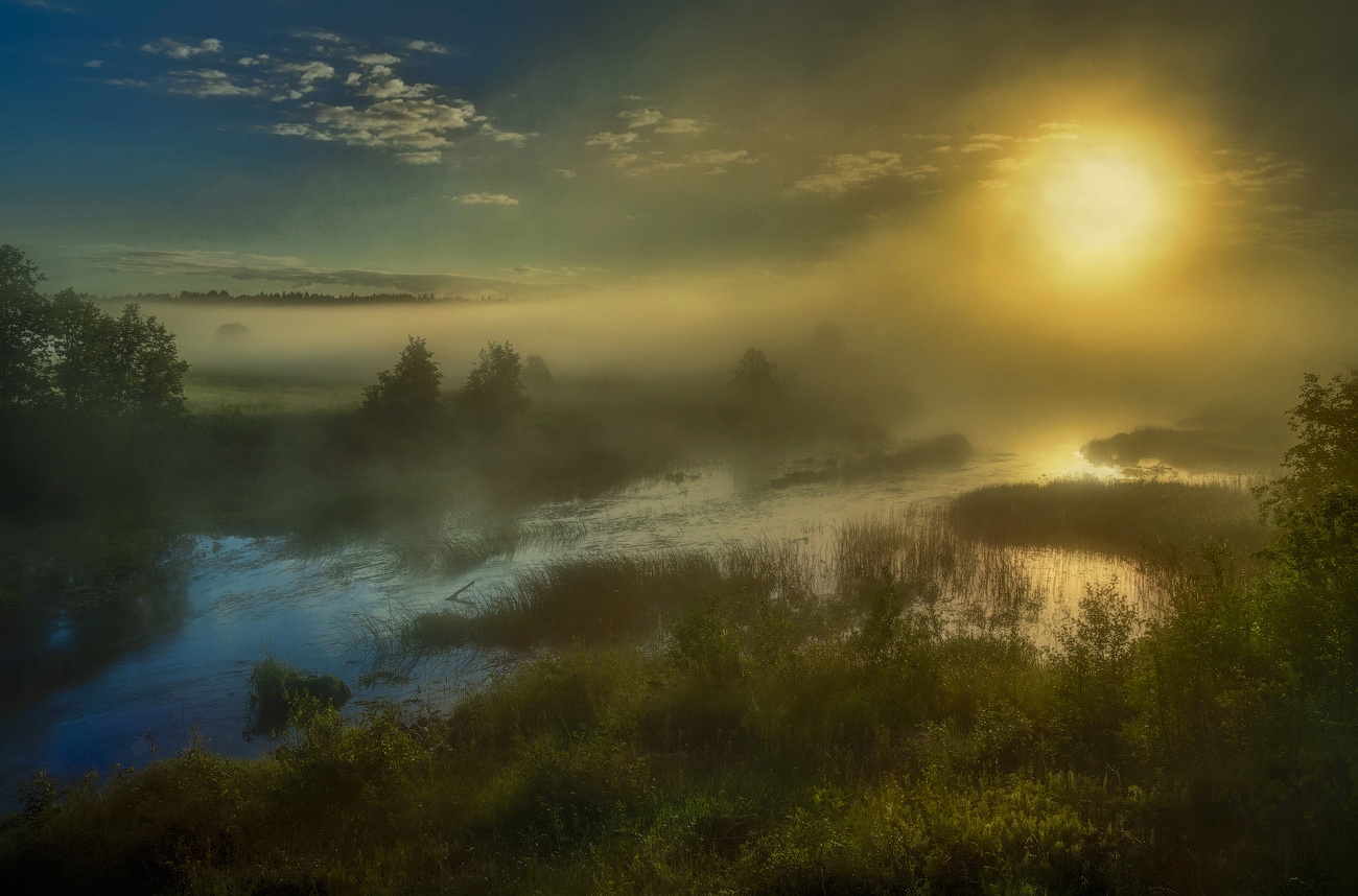 photo "About Volyn swamp ..." tags: landscape, nature, просто и красиво...